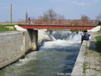 Imagine atasata: bega 20.03.2016 007.jpg